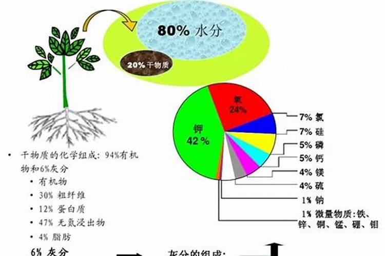 什么叫大量元素