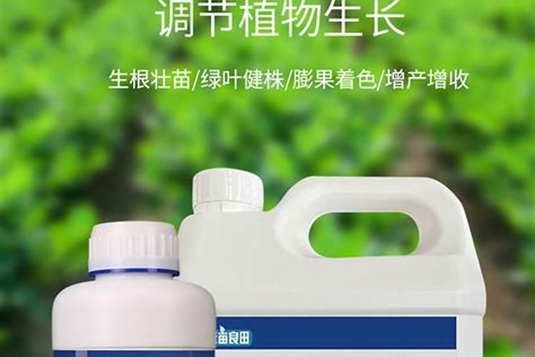 硝酸铵钙和钾肥混合着直接施入土下可以不？