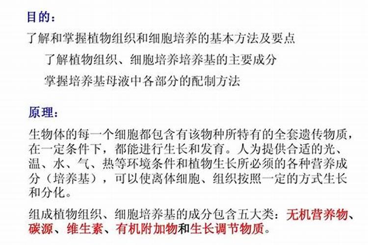 怎么做植物根系才发达