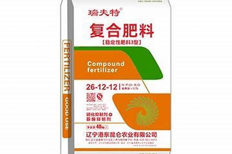 长寿花夏天怎么养施什么肥