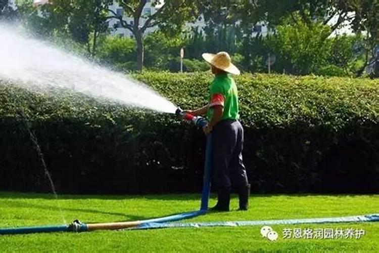 尿素追肥之后,应该立刻浇水还是过几天浇水？为什么？