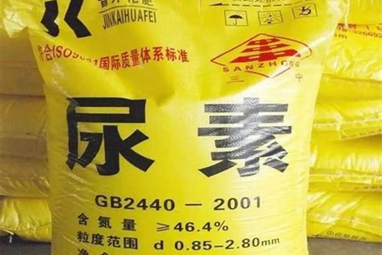 西兰花露天越冬行吗？