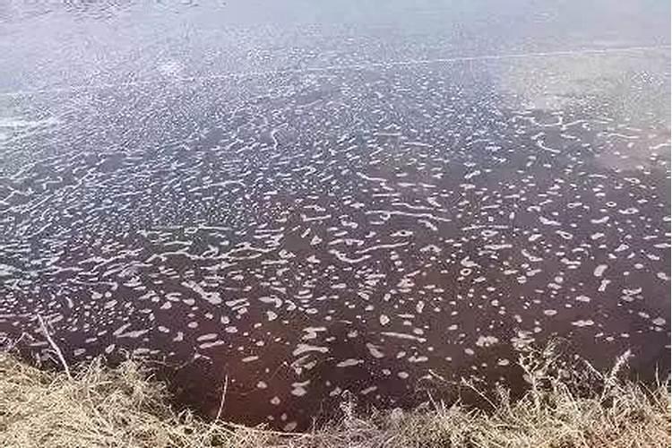 磷肥对环境的影响
