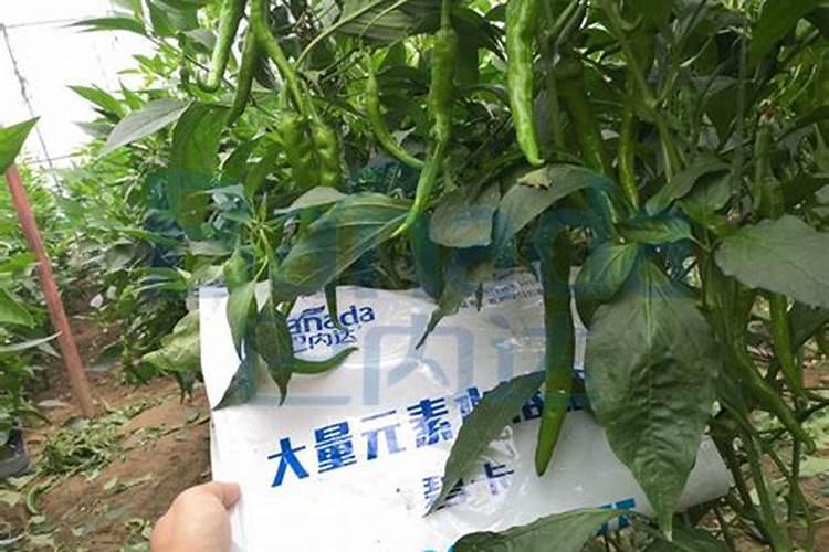 水溶肥与复合肥有区别吗