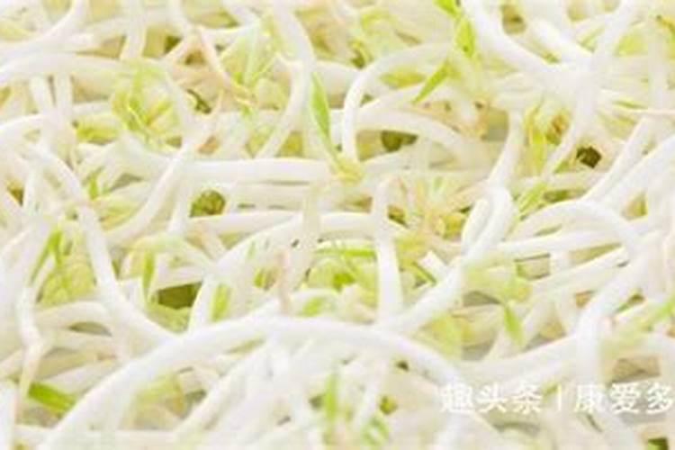 草莓开花前期用什么肥