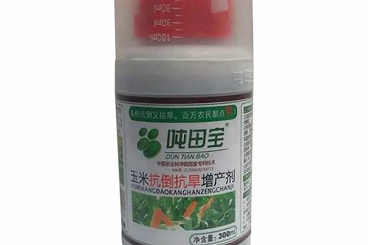 我家几亩玉米被水淹没？