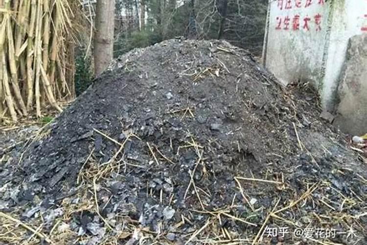 ...因为是城市,不知埋在哪,我把他烧成灰装在铁盒了,这样有问题吗...