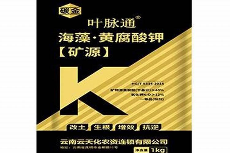 我家的月季开花,刚开花一天到两天花瓣 就不新鲜了,纷纷落下,怎样克服...