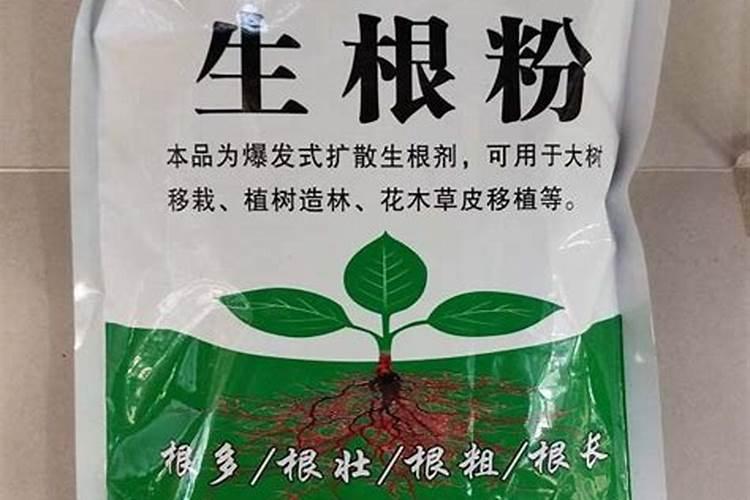 叶面肥哪个好