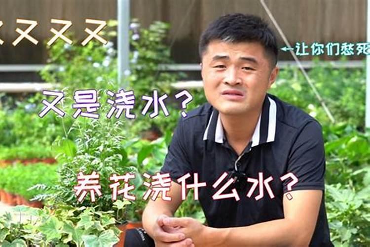 什么样的肥料适合所有花都用、什么肥料能促进开花