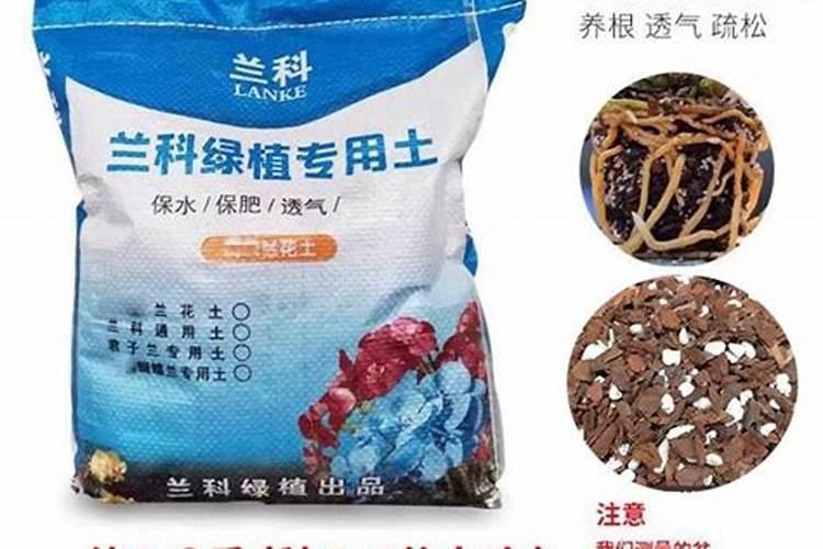 水稻苗期耐盐度多少