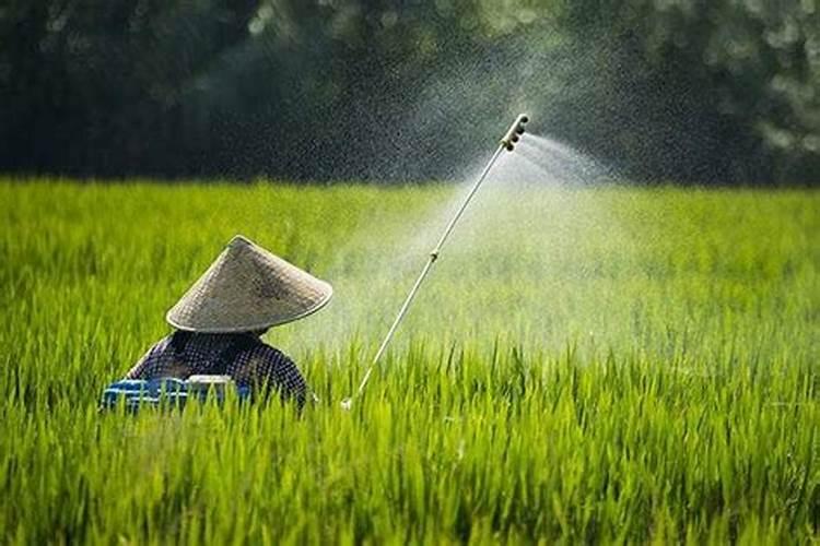 爱隆水溶肥的产品为什么比外面贵一些？