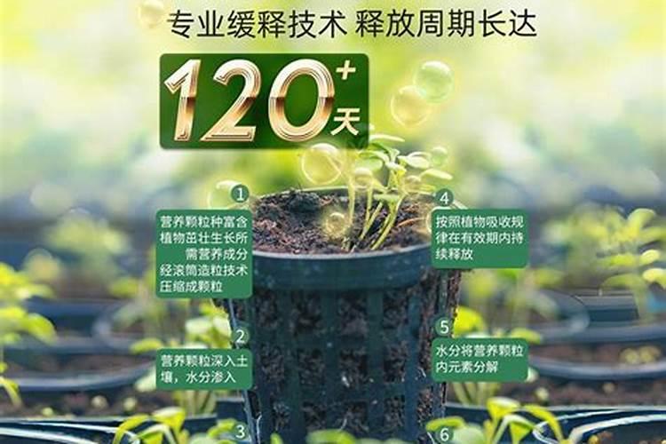 一盆花放几粒复合肥