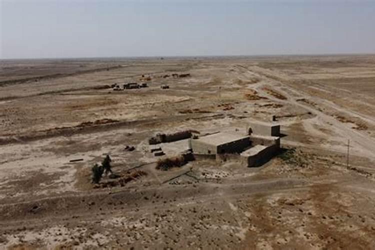 中国每年从伊拉克进口多少石油？