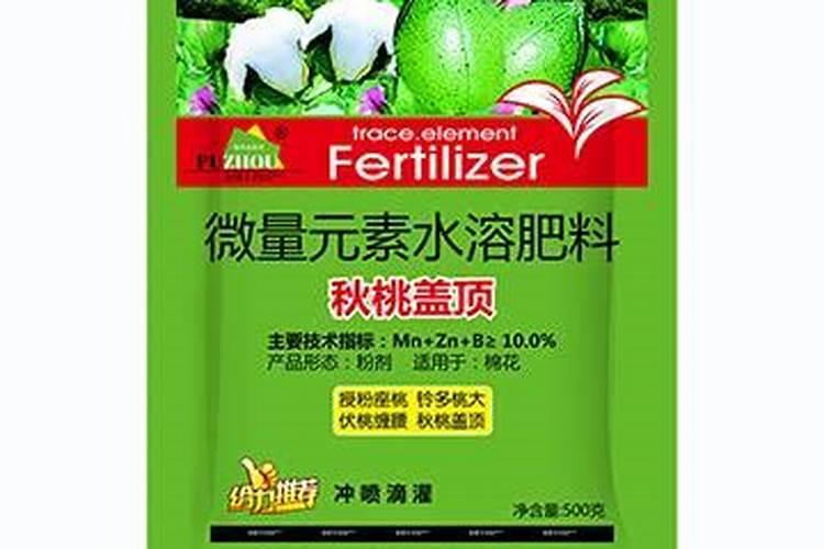 桃树什么时候施肥最好