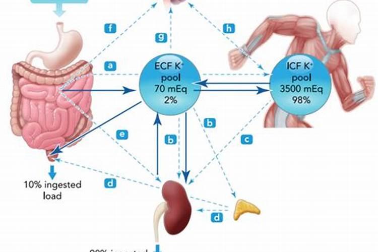 苹果树矿源酸钾过量补救措施