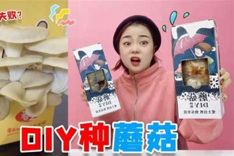 花盆里长出的蘑菇,有毒吗？