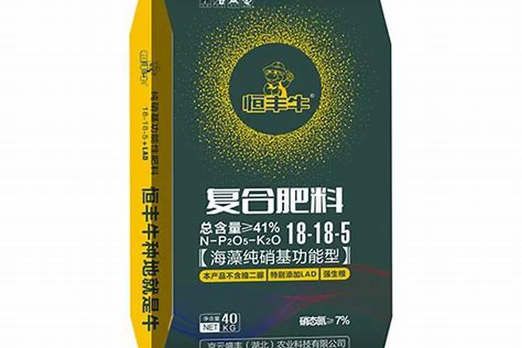 柑橘树什么时候追壮果肥(挂果柑橘施肥最佳时候)