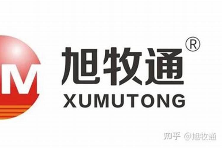 新疆好故事比利时丹尼大叔在新疆实现了两个梦想