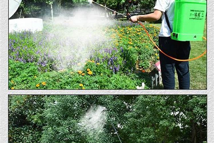 一百斤水放多少磷酸二氢钾(30斤水用多少克磷酸二氢钾)