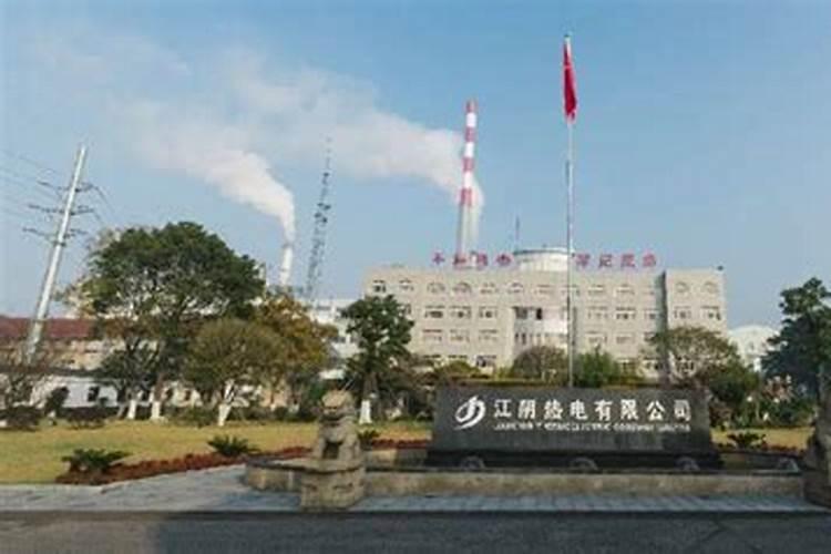 袖珍椰子树怎么养护才旺盛