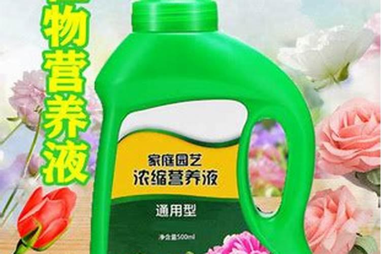 小麦拔节期孕穗初期纹枯病怎么治？防治小麦纹枯病的有效药肥
