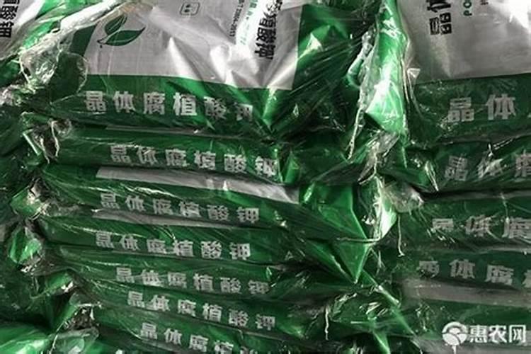 什么是3龙任务,具体都是哪里接的,!!