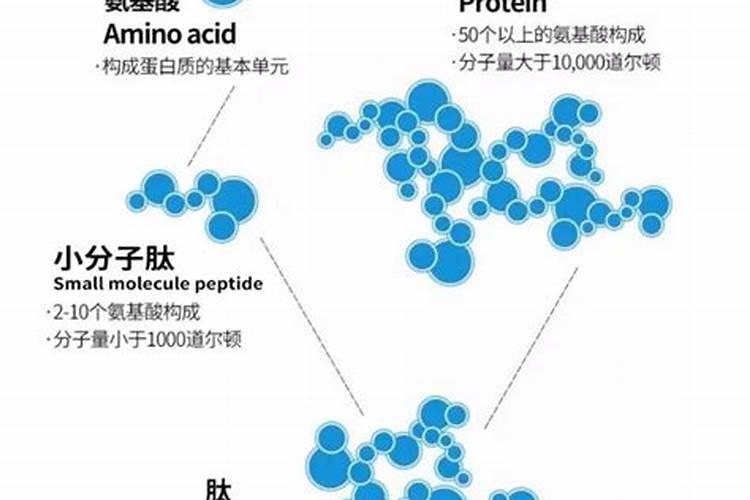 小肽是什么？与蛋白质何关系？复合蛋白小肽在水产养殖中有何作用？