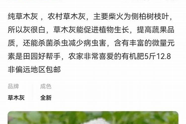 芒果用什么肥料能快速成长？施肥几次？