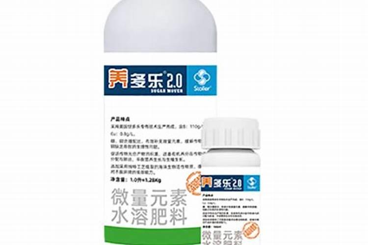 李子怎样管理才能又大又甜(李子增大增甜度用什么方法)