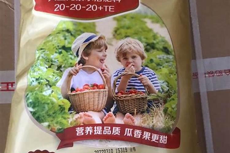 幸福树可以用复合肥吗,幸福树施肥方法
