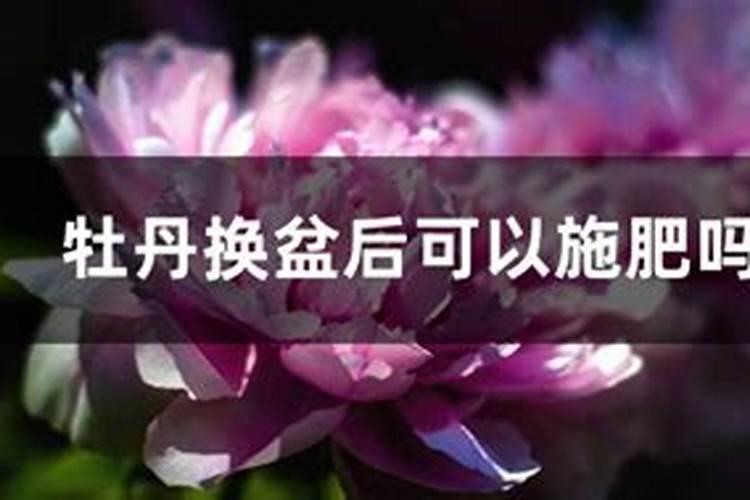 钾肥的作用 钾肥简介