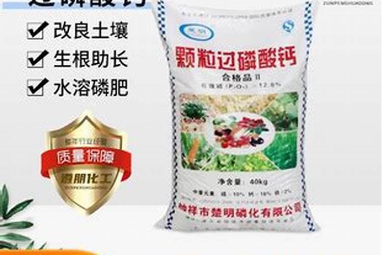 植物通过根部还是叶片固氮