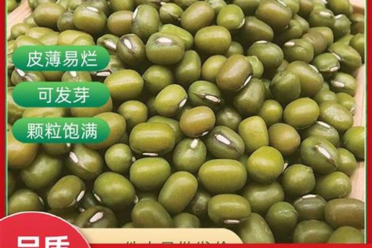 种绿豆用什么肥料好
