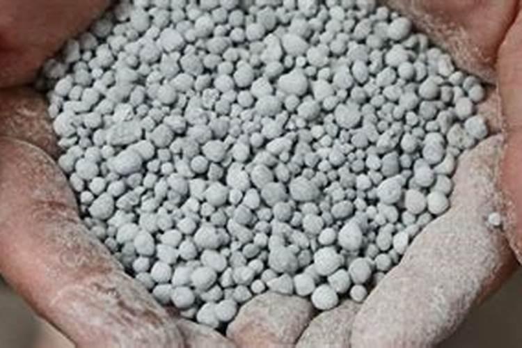 大量磷肥烧根吗,磷肥怎样使用才是正确的