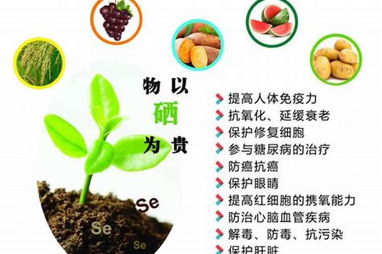 蓝莓花期喷富硒肥对座果有影响吗？