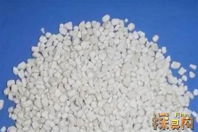多肉植物用什么肥料好