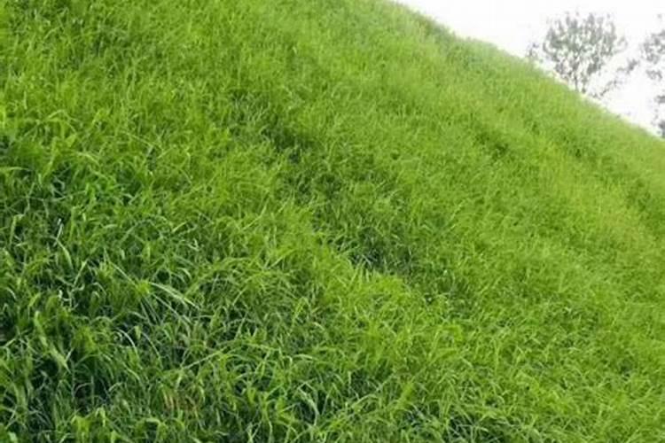 磷肥磷化工主要集中在哪几个省 磷肥中的有效磷如何提取