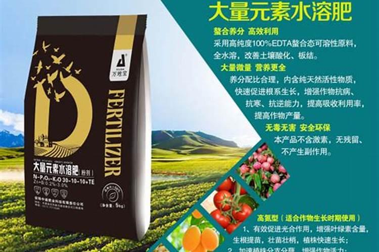 叶菜类植物应适当多施什么肥？