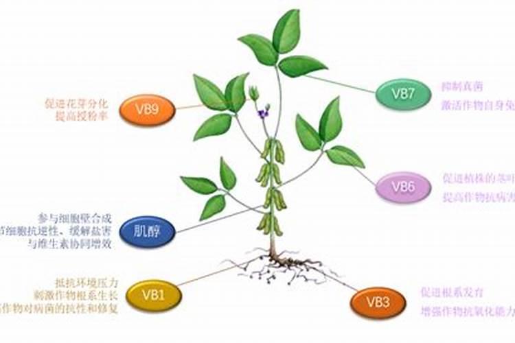 中化聚和肽复合肥怎么样