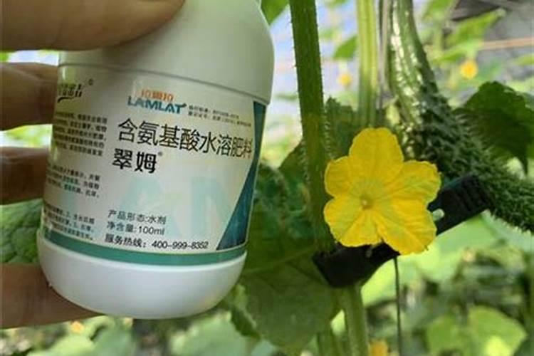 下雨时可以给果树散水溶肥吗？