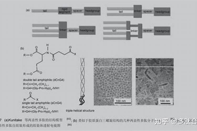 废电池的危害