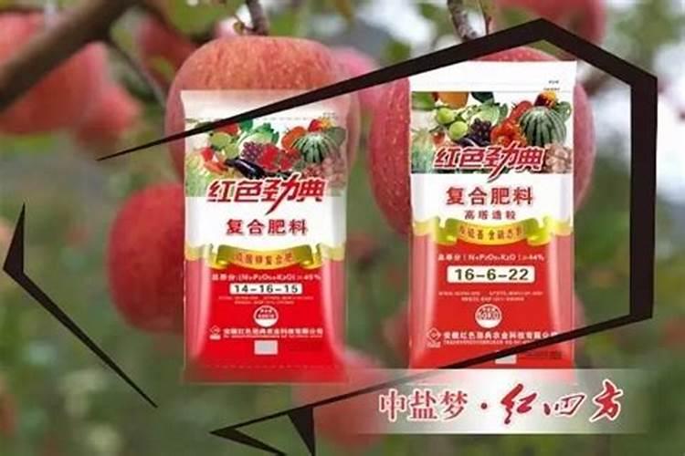 一棵果树可以施多少硫酸钾镁肥？