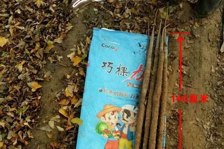 岩溶作用和热液作用区别