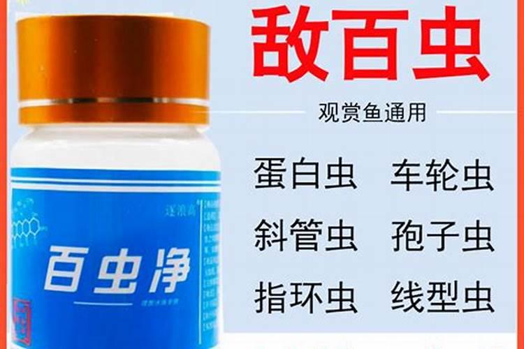 怎样才能让无花果树死于非命呢？