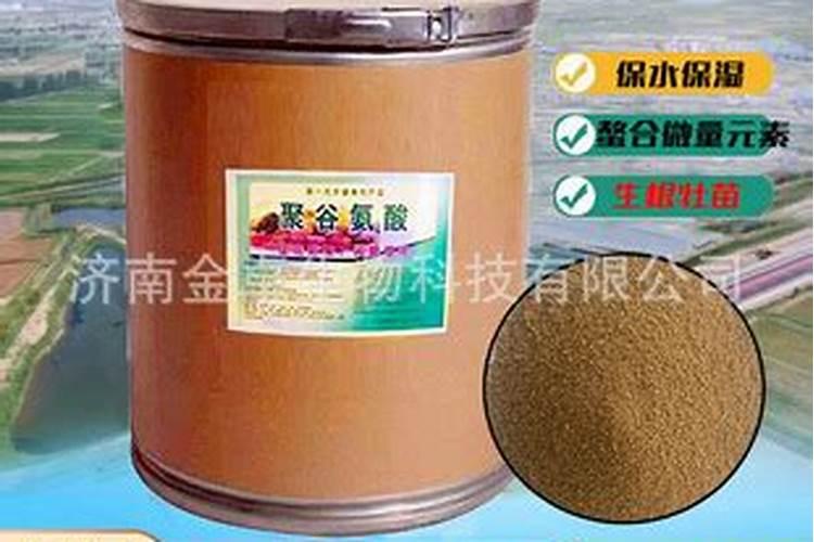 如何给花施磷肥