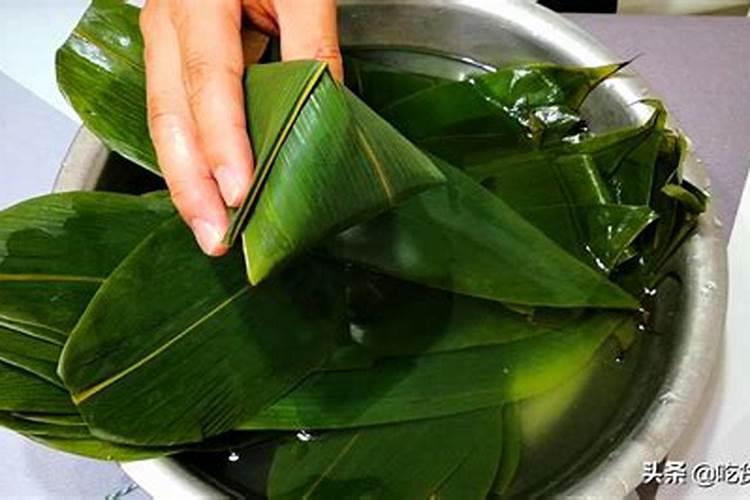 请问栗子树一年共打几次农药？从什么时间开始打药？间隔多长时间？酸楂...