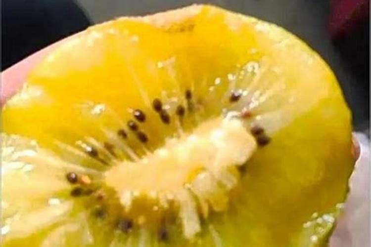 种猕猴桃用什么肥料
