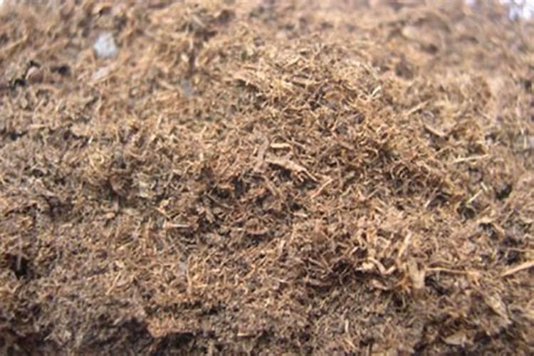 中农富源微生物菌肥多少钱一袋