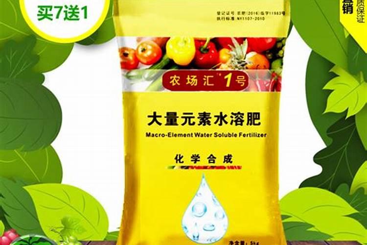 黄瓜苗施什么肥料